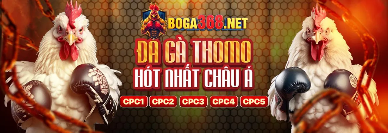 Các trò chơi đa dạng tại ev77