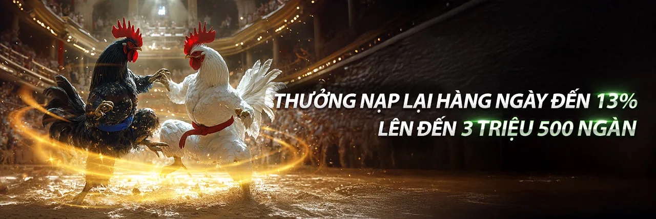 Khuyến Mãi Hấp Dẫn EV77