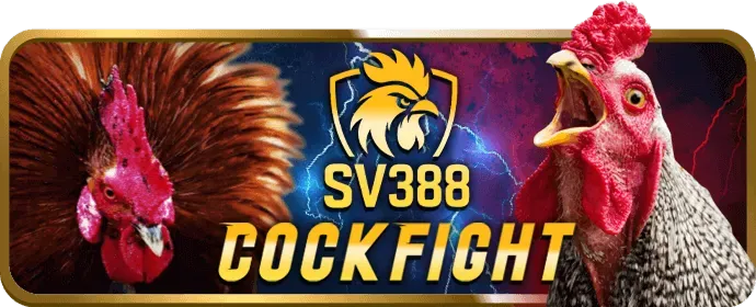 Tin tức casino và game ev77